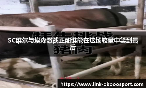 SC维尔与埃森激战正酣谁能在这场较量中笑到最后